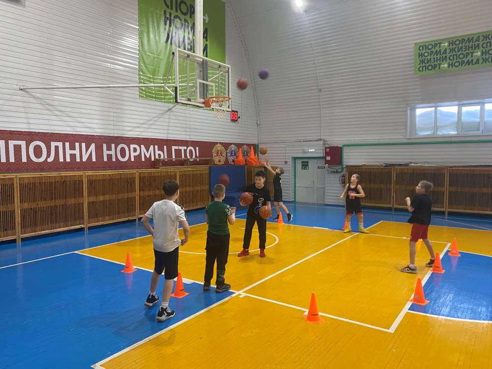 Тренировочный процесс