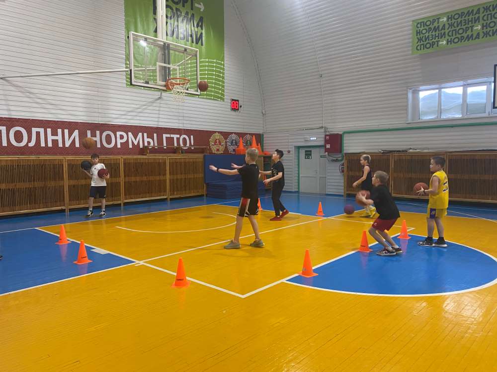 Тренировочный процесс