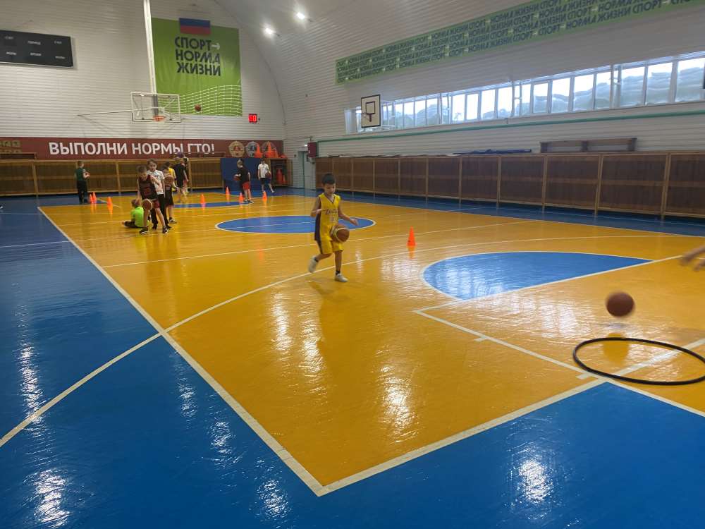 Тренировочный процесс